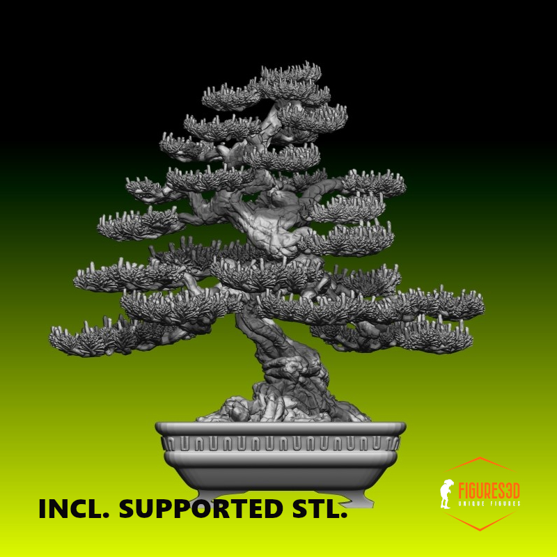 Bonsai 5